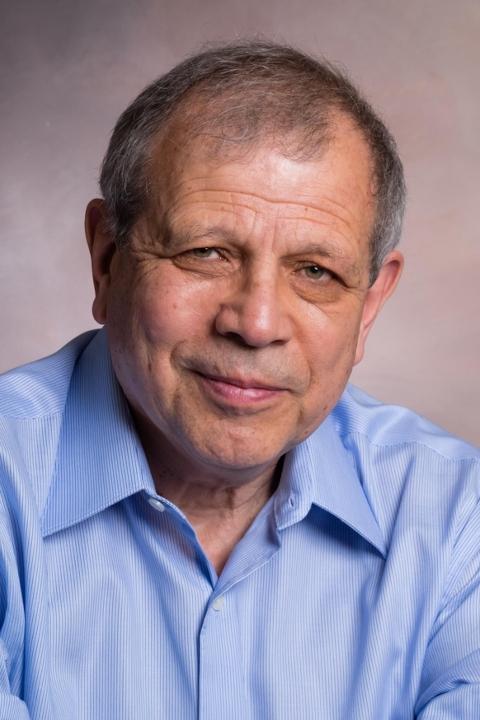 et billede af Yefim Somin