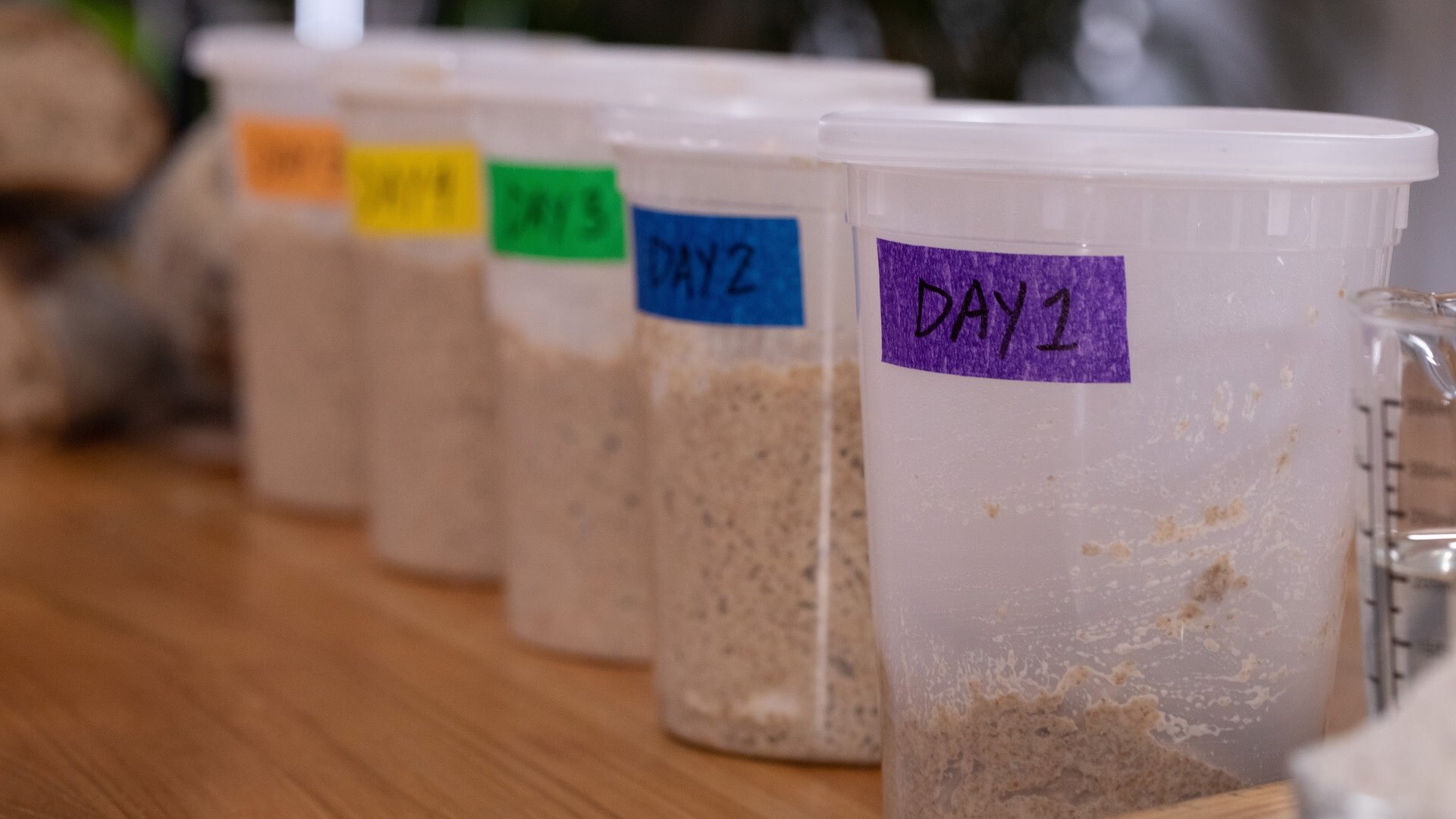 Thumbnail for Sourdough Starter Tutorial Season 1 Episode 10