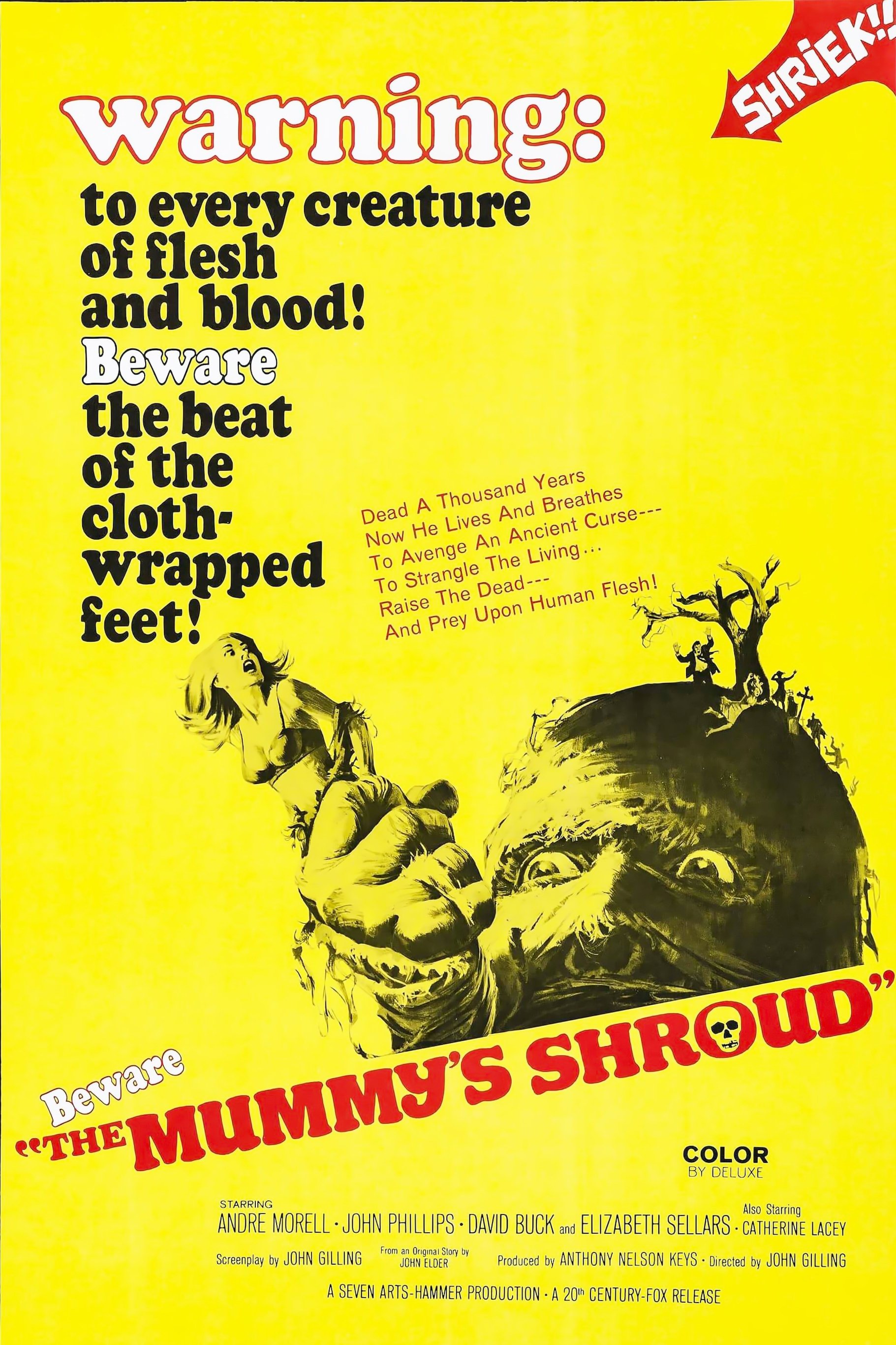 The Mummy's Shroud