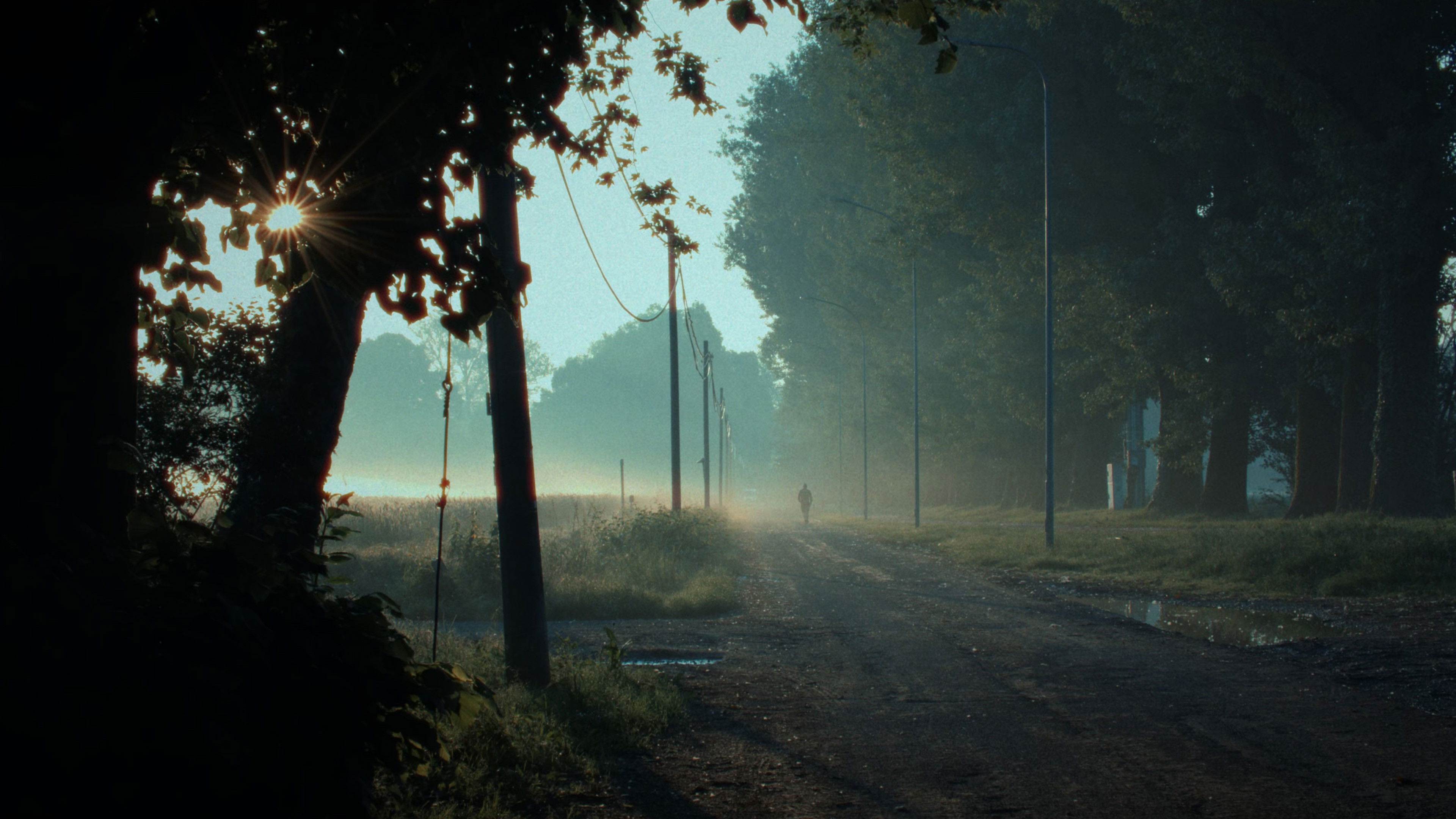 Imagem do Filme Transumanza