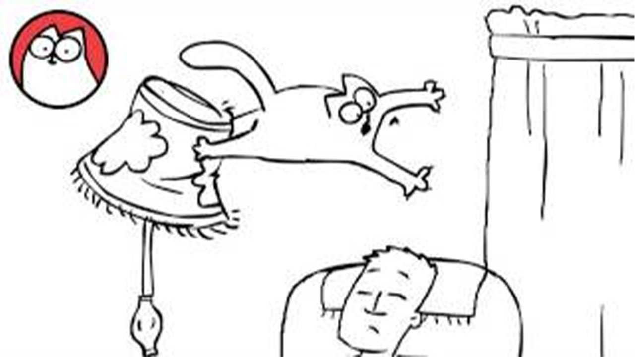 Simon’s Cat