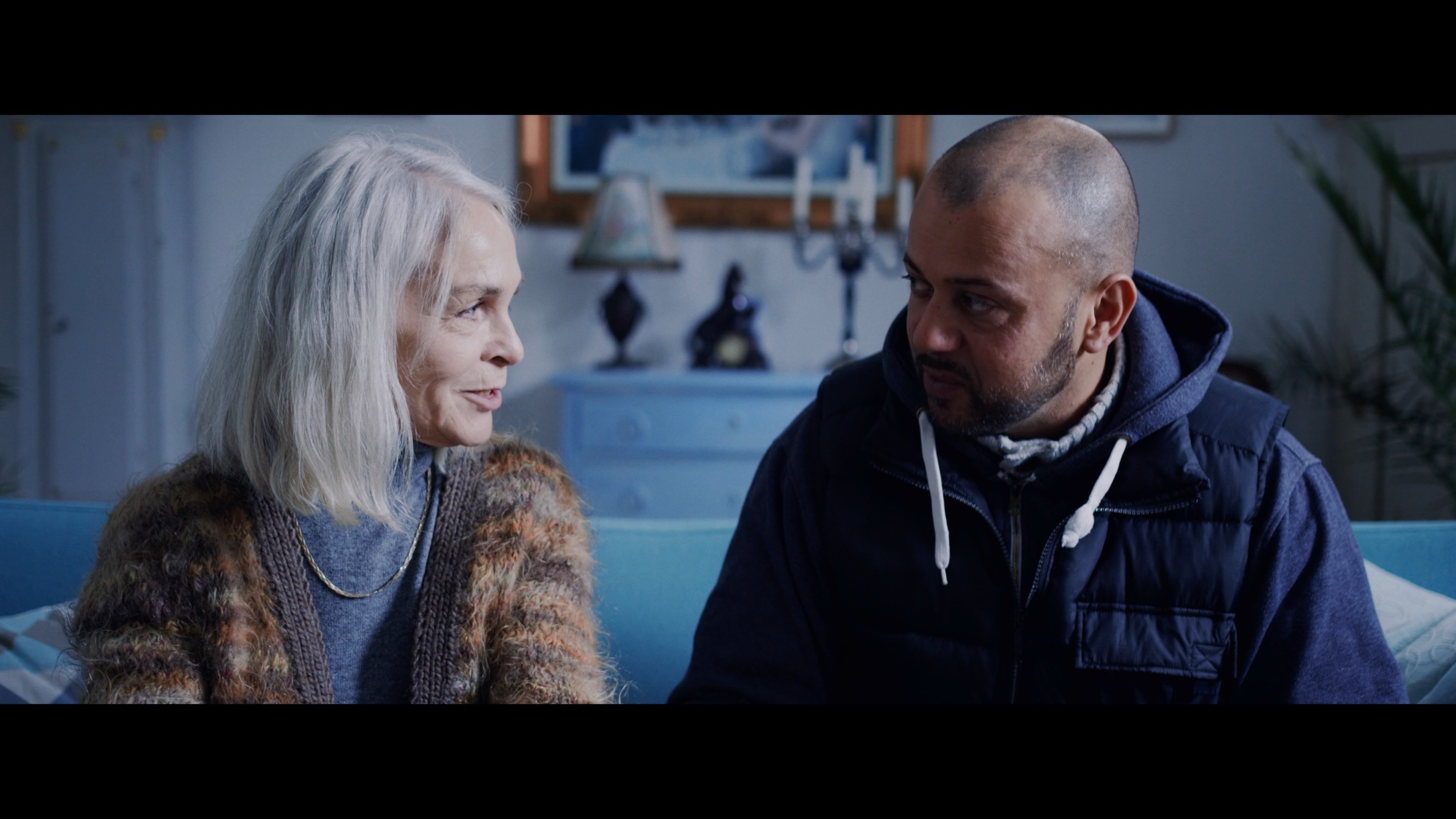 Besøgsvennen (2016)