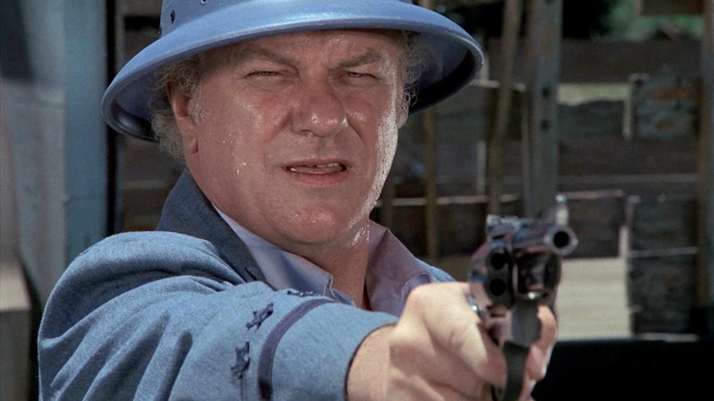 Dark Night of the Scarecrow (1981)