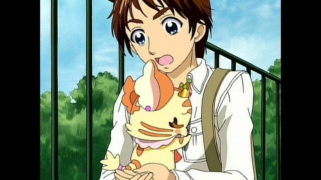 Yes! PreCure 5