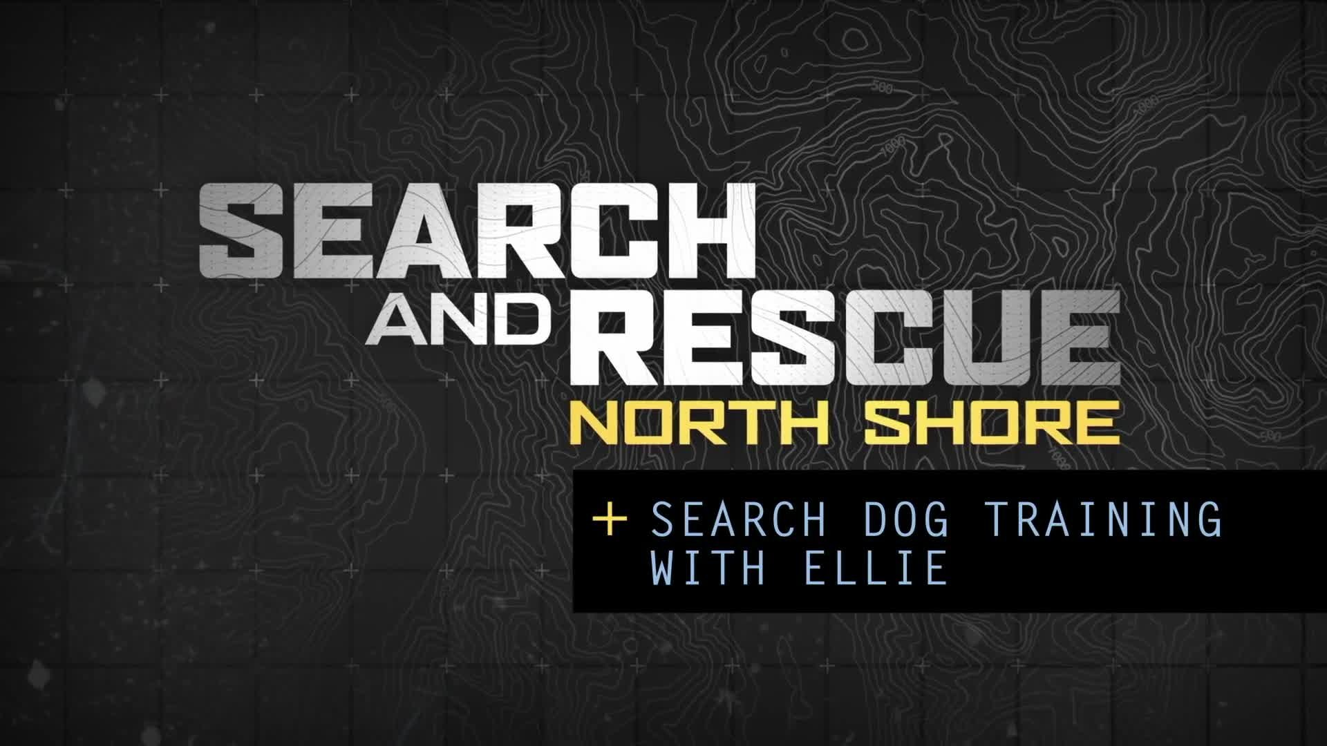 Thumbnail for S2E04 - Search Dog Training with Ellie Season 0 Episode 204