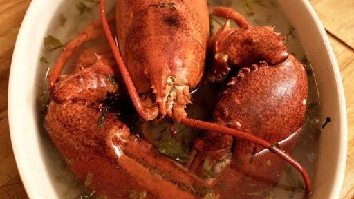 Thumbnail for Episode 73 Season 1 Episode 73