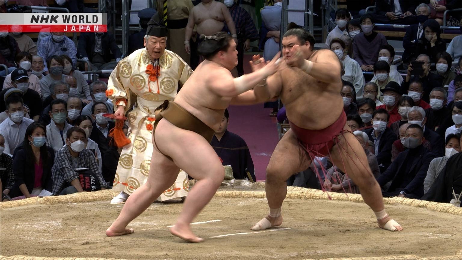 GRAND SUMO Highlights Season 14 :Episode 13  Day 13