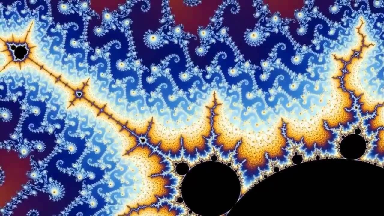 Fractals: Hunting the Hidden Dimension (2008)