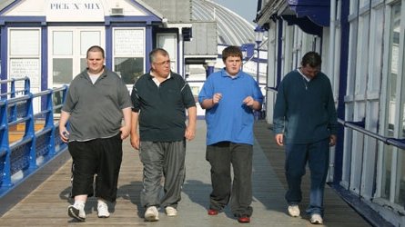 Fat Families