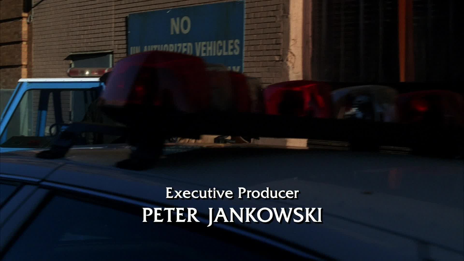 Law & Order Season 15 :Episode 17  License to Kill