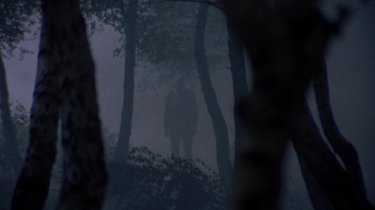 Torso (1973)