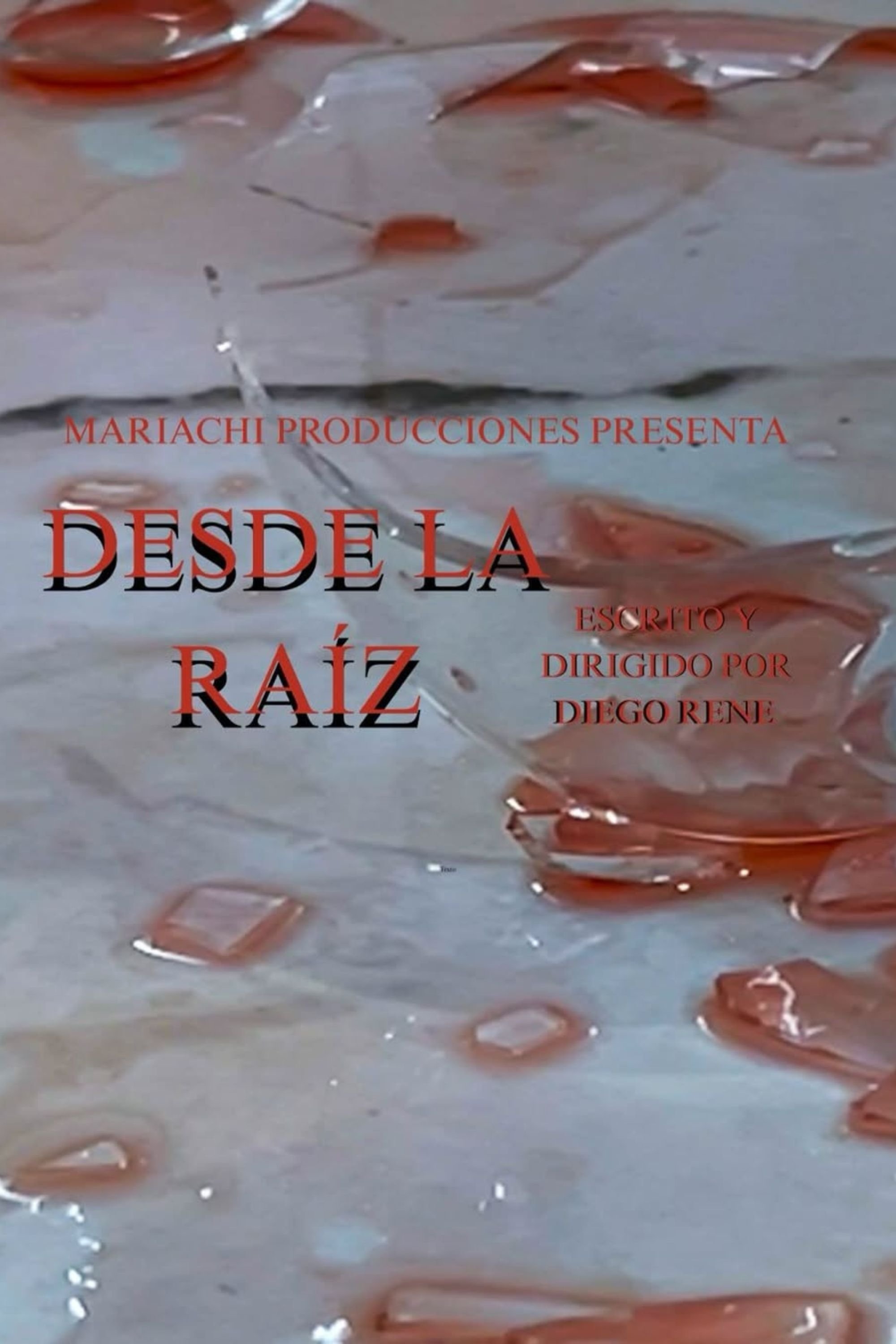 Desde la raíz Desde la raíz