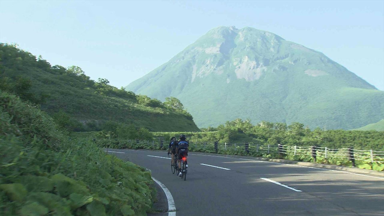 Wild Hokkaido!
