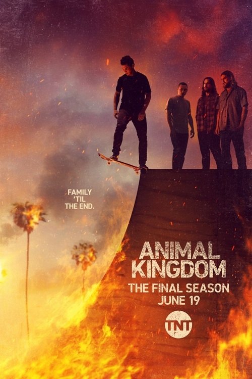 EN - Animal Kingdom (2016)