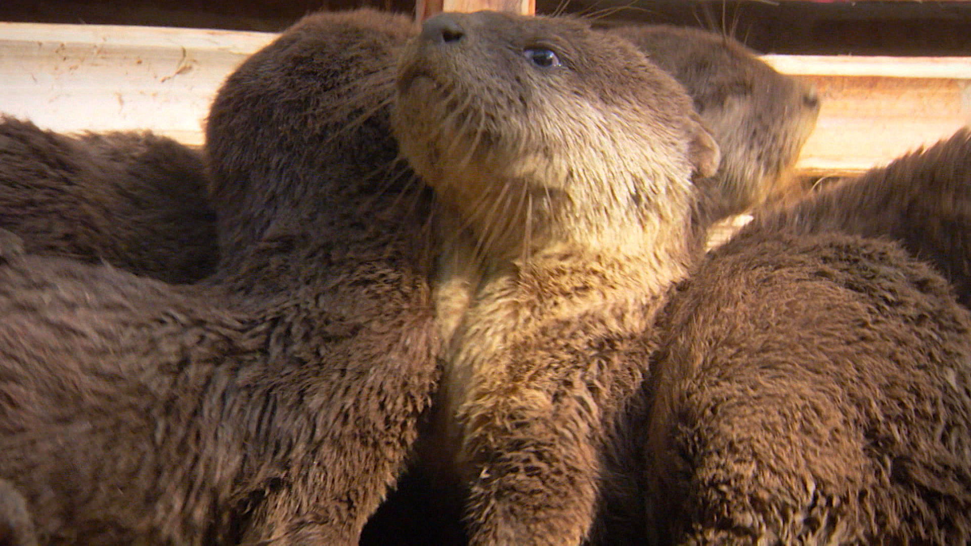 Earth Odyssey with Dylan Dreyer S02E33 backdrop