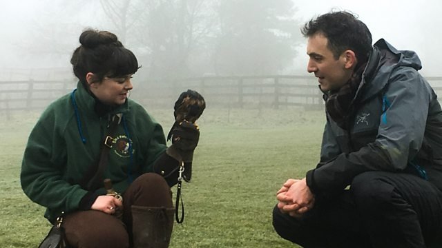 Countryfile 31x13