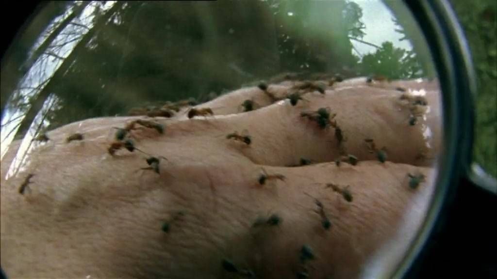 Thumbnail for Episode 2 Season 1 Episode 2