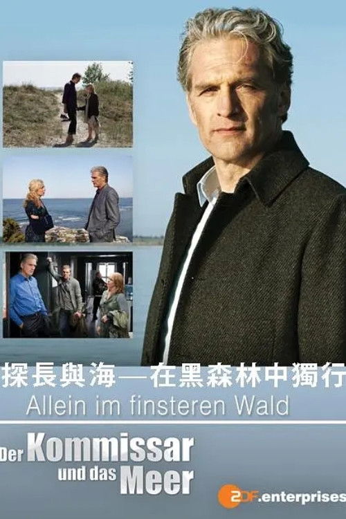 Alone In The Dark Forest