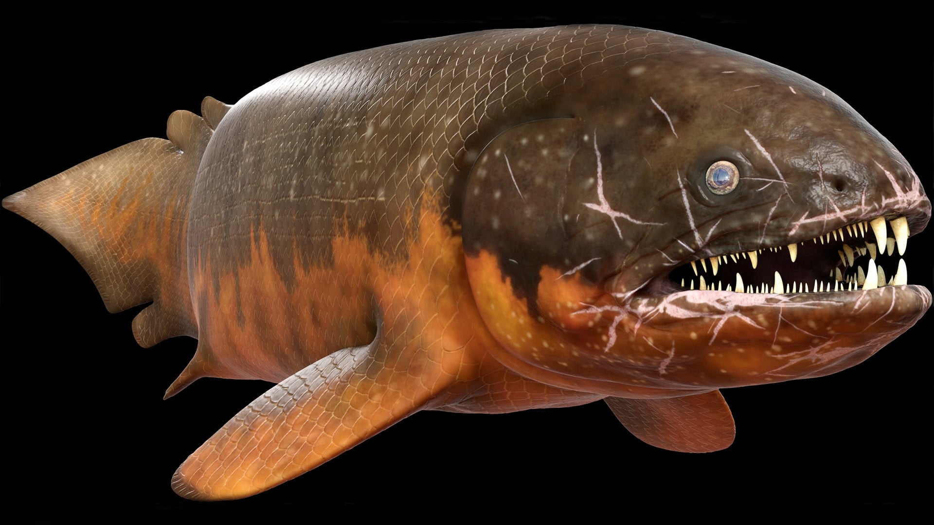 River Monsters