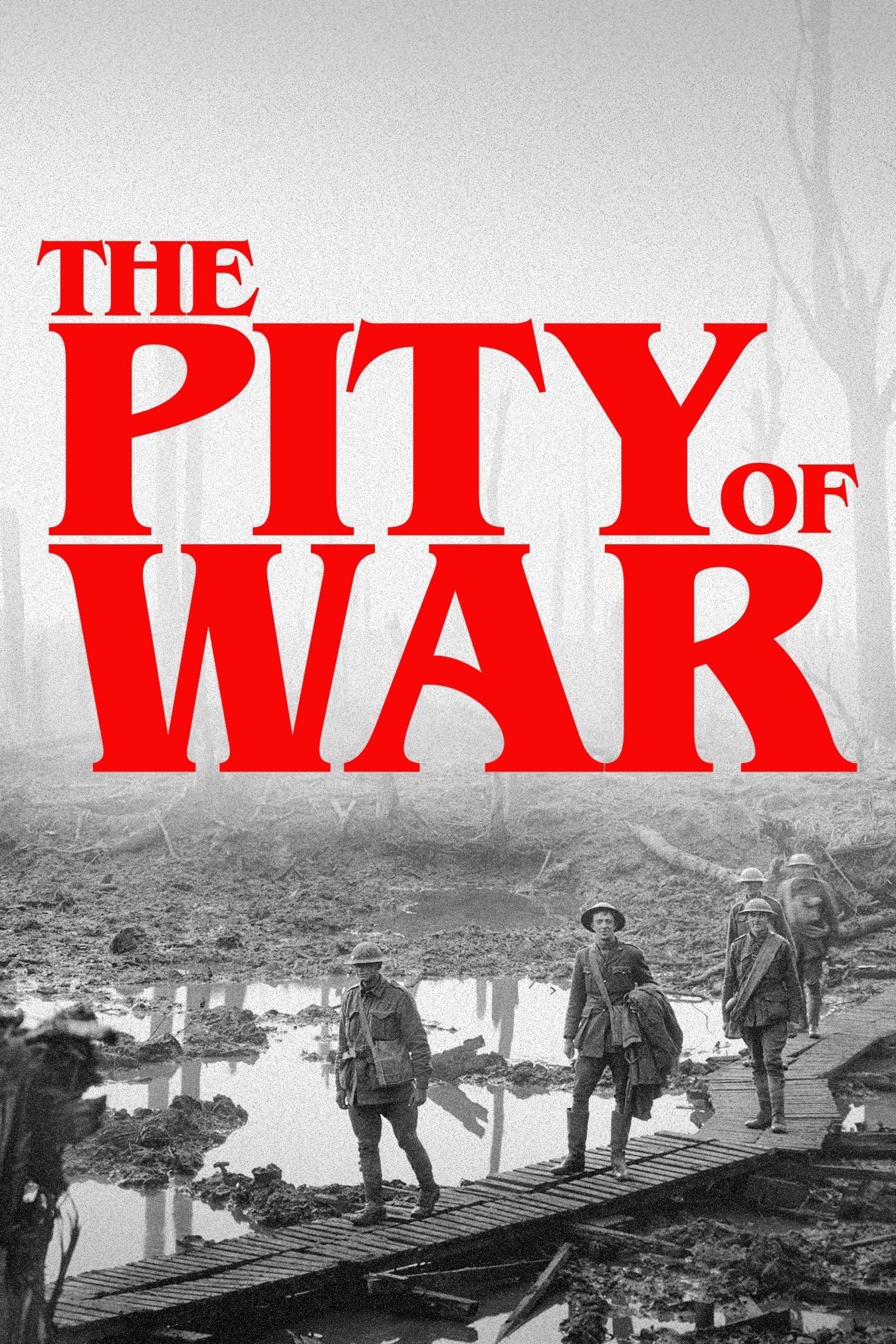 The Pity of War