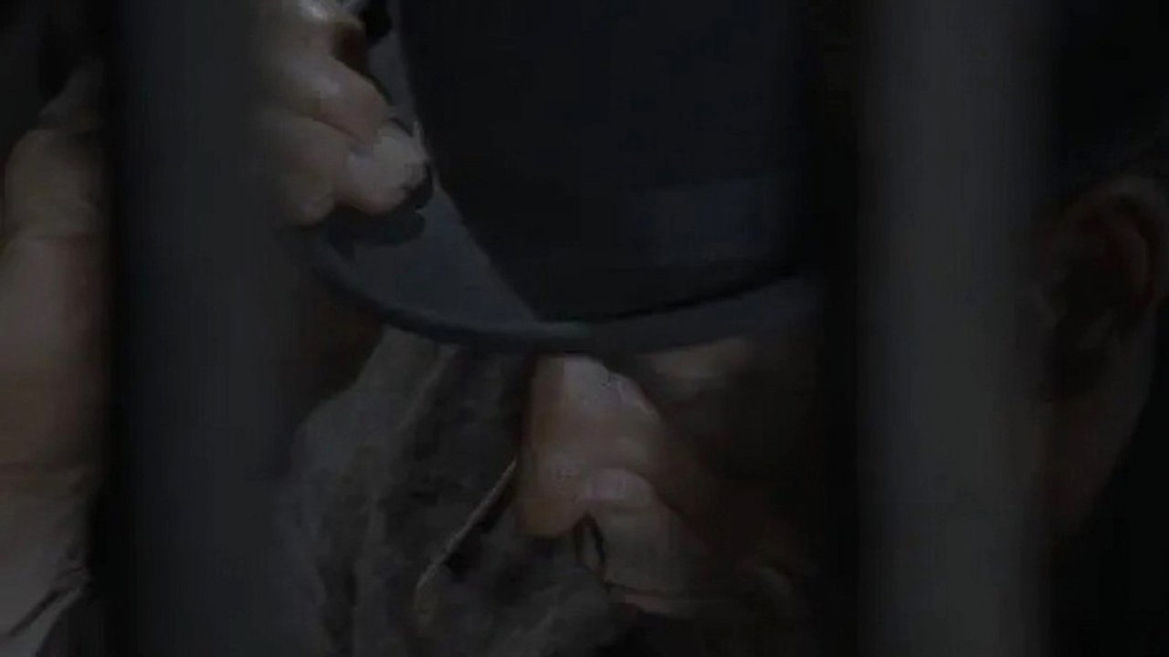 Episode 10