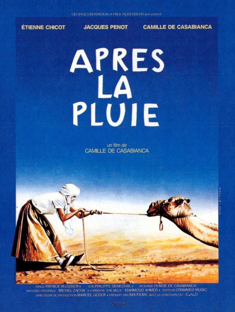 Affiche du film Après la pluie 17286