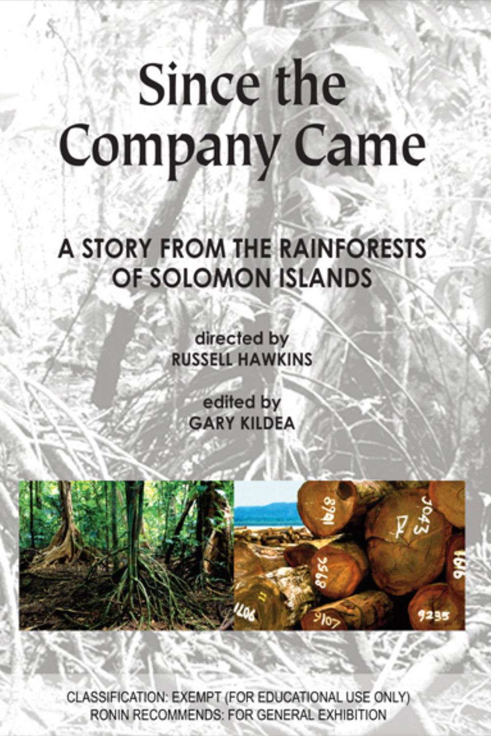 Poster for Since the Company Came