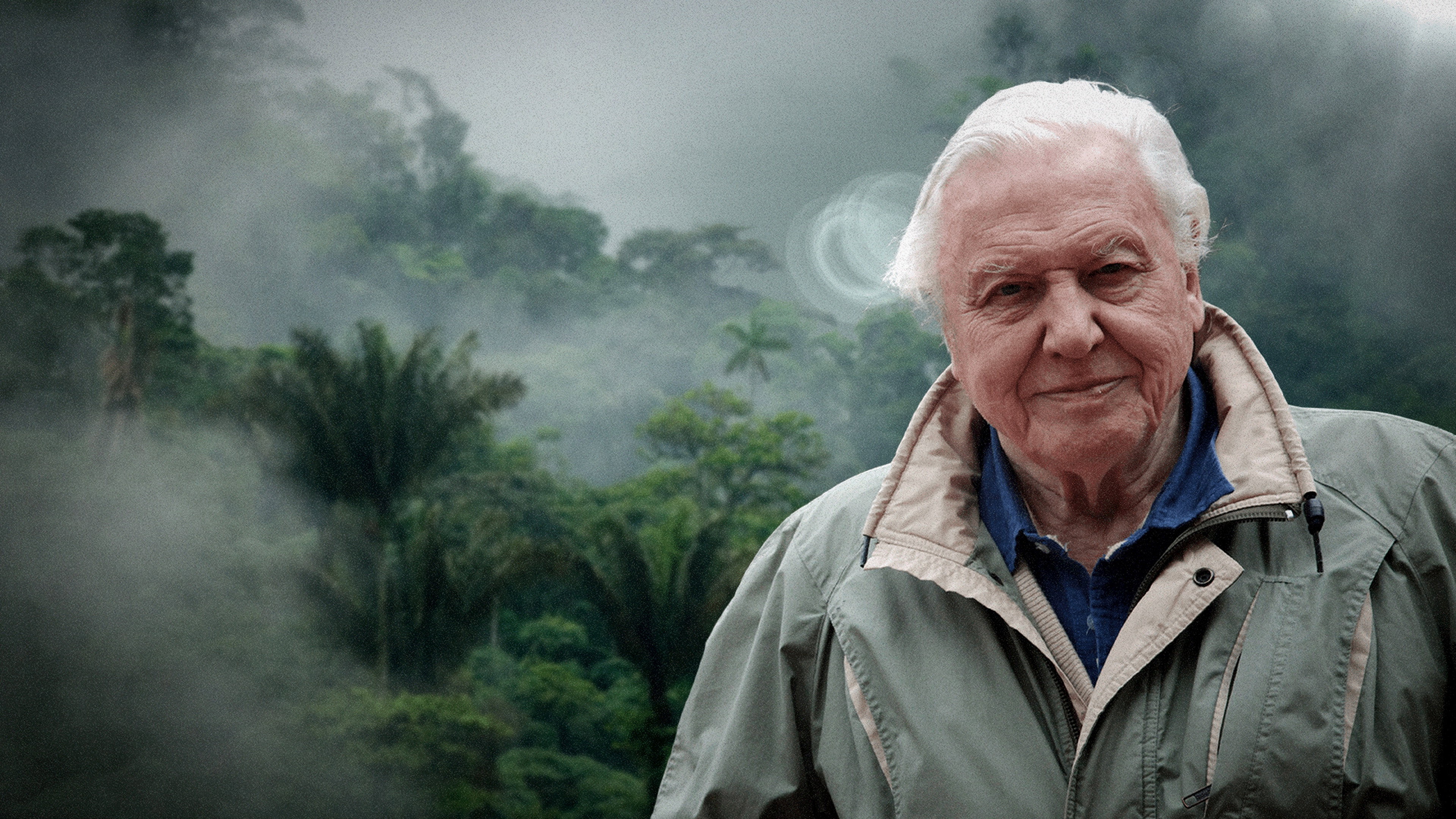 Curiosidades da Natureza com David Attenborough