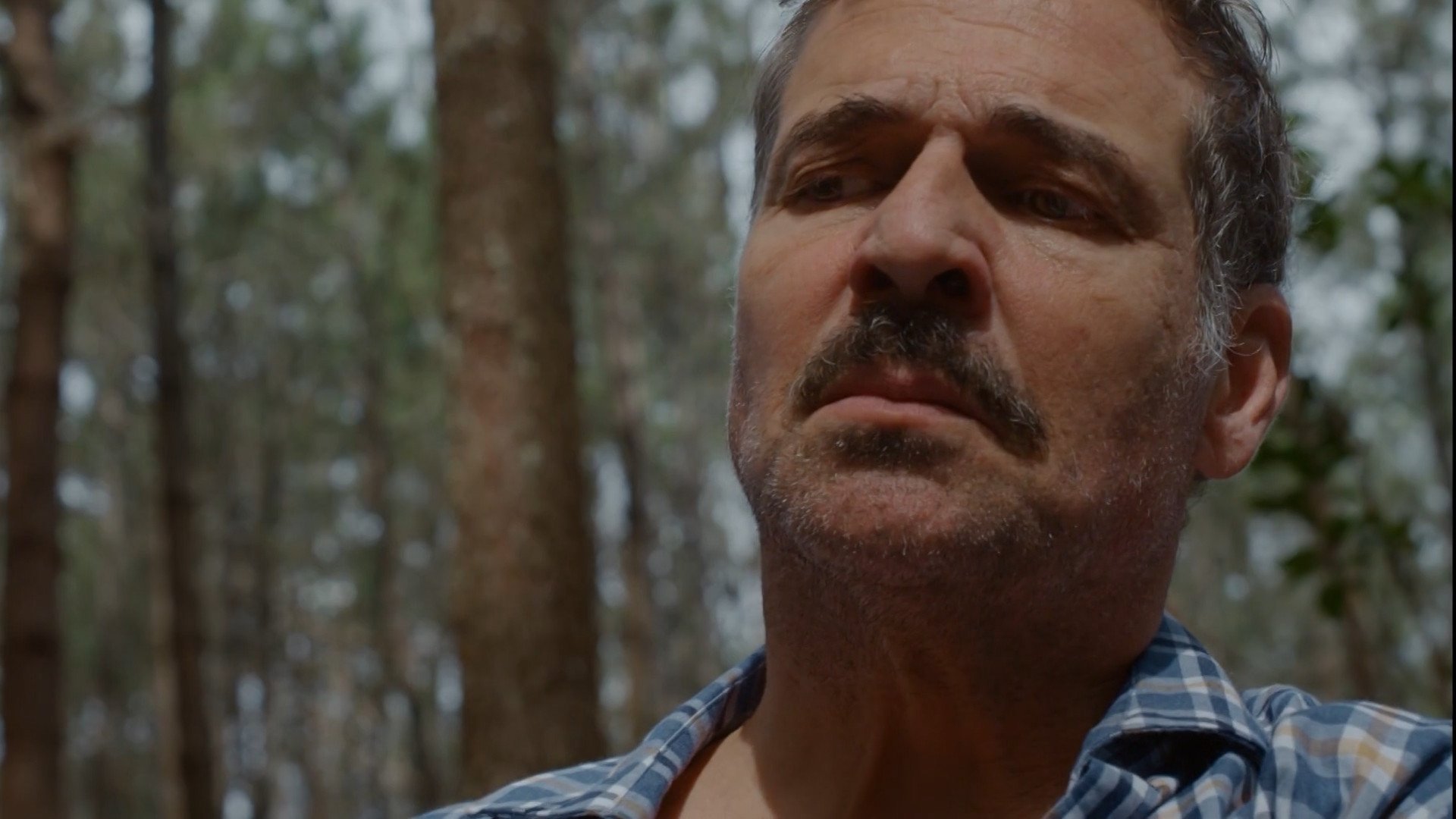 La Promesa 3x268