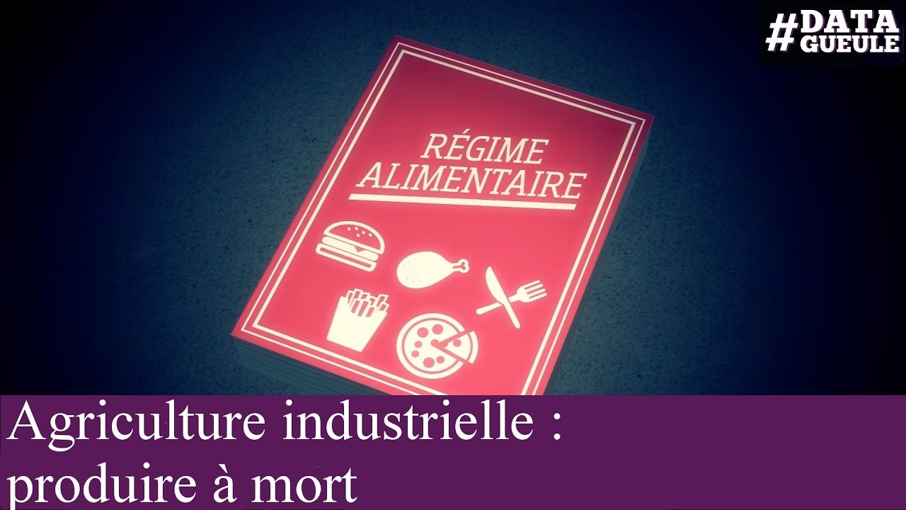 Data Gueule - Agriculture industrielle : produire à mort
