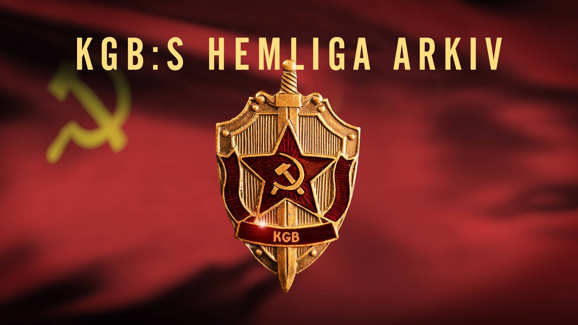 KGB - The Sword and the Shield