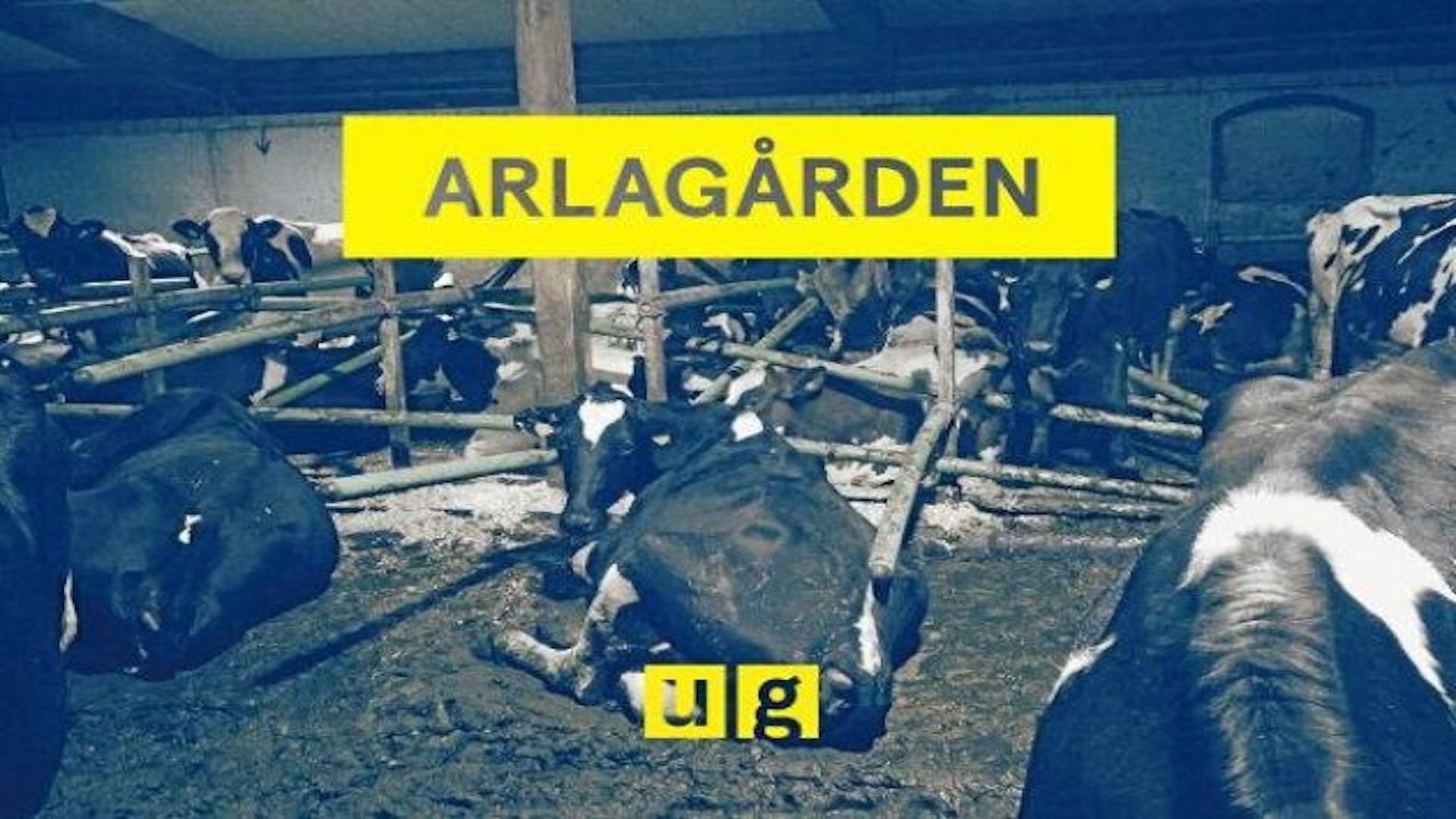 Uppdrag granskning