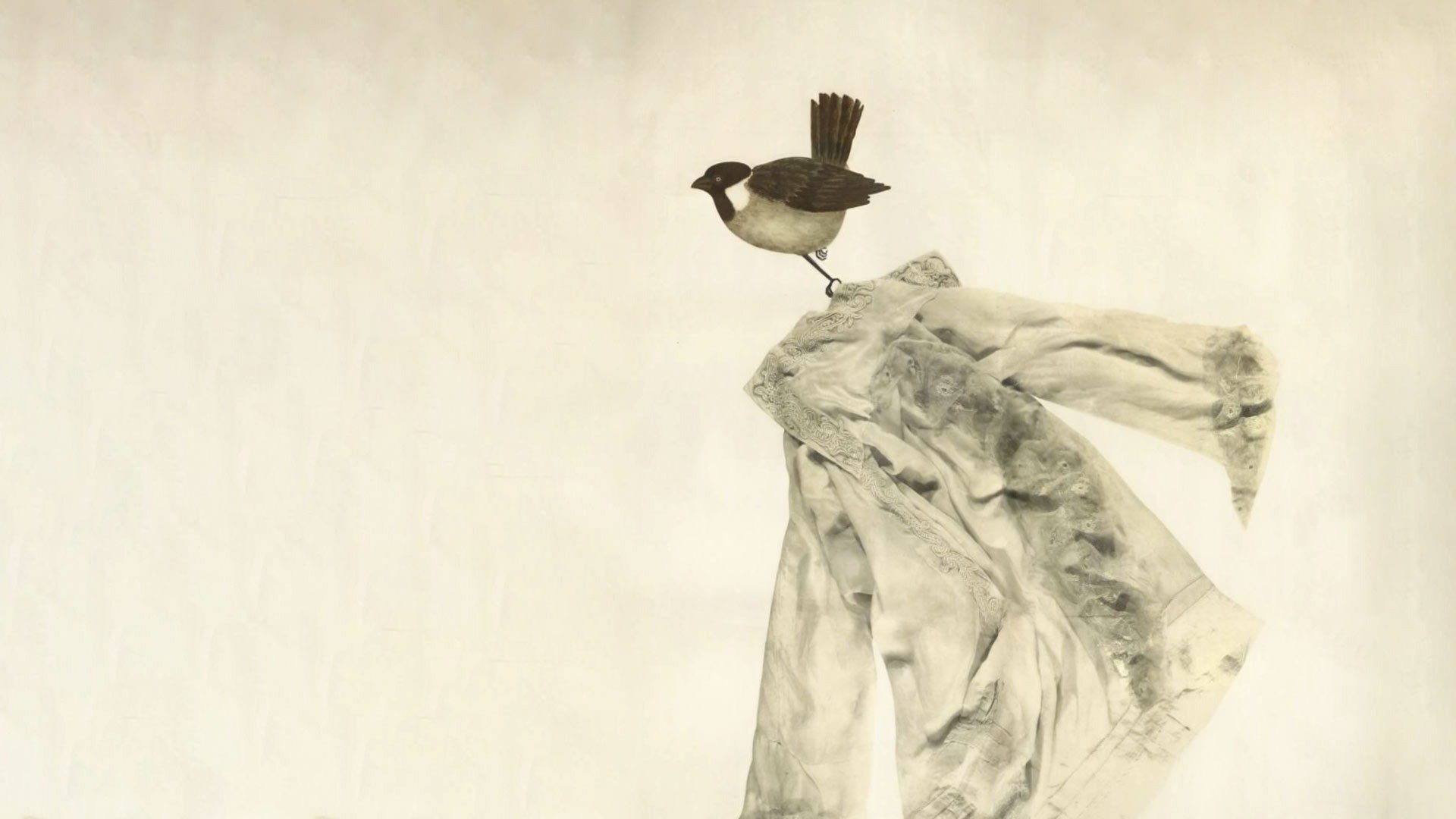 Migrating Sparrows