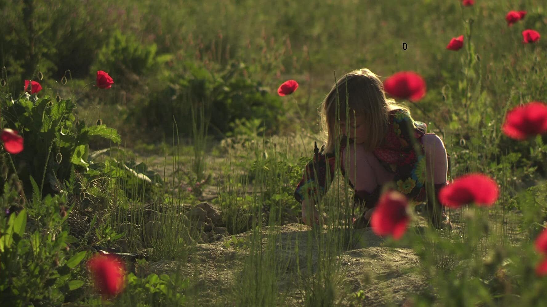 Mother Europe (2012)