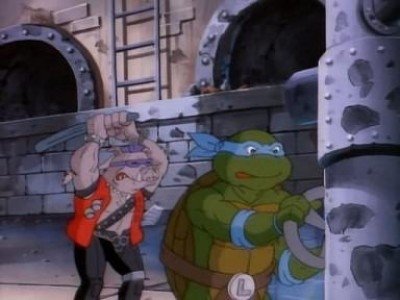 Teenage Mutant Ninja Turtles