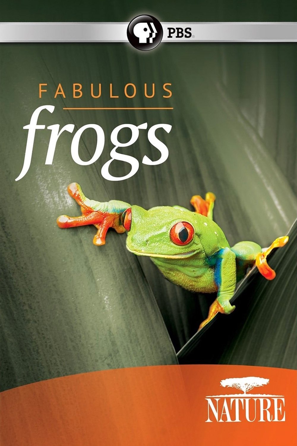 Fabulous Frogs