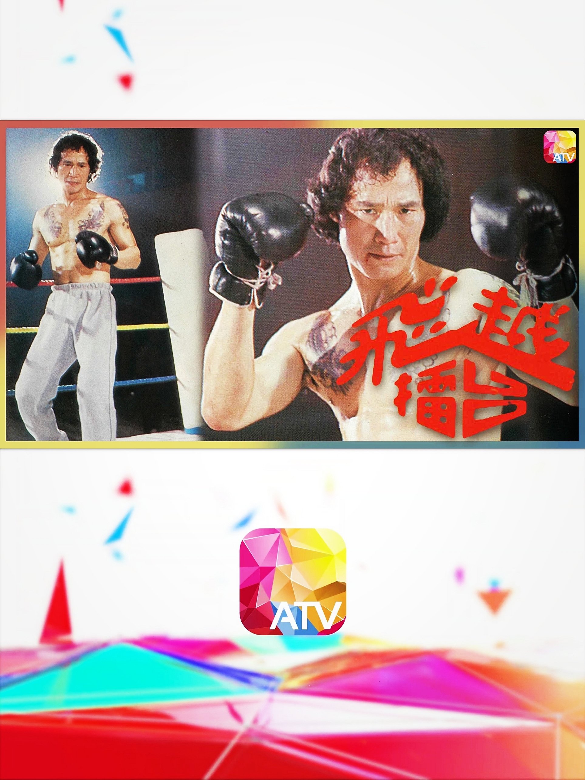 The Boxer poster cover