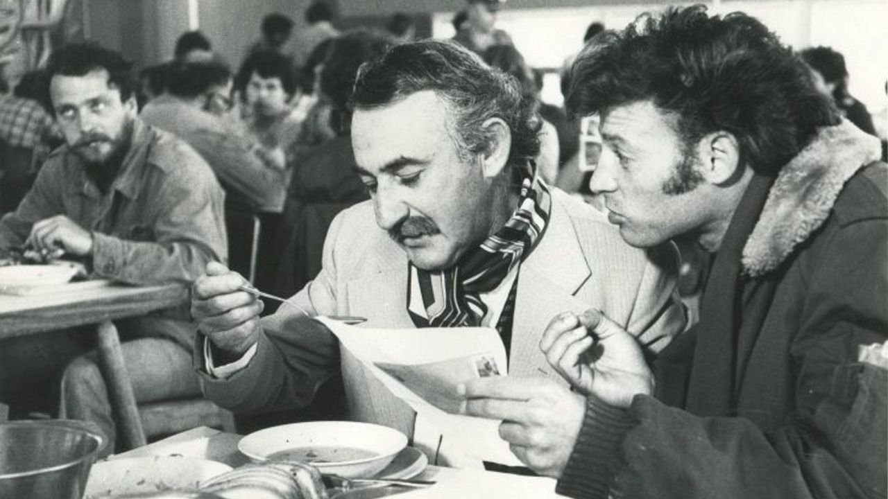 Belfer (1978)