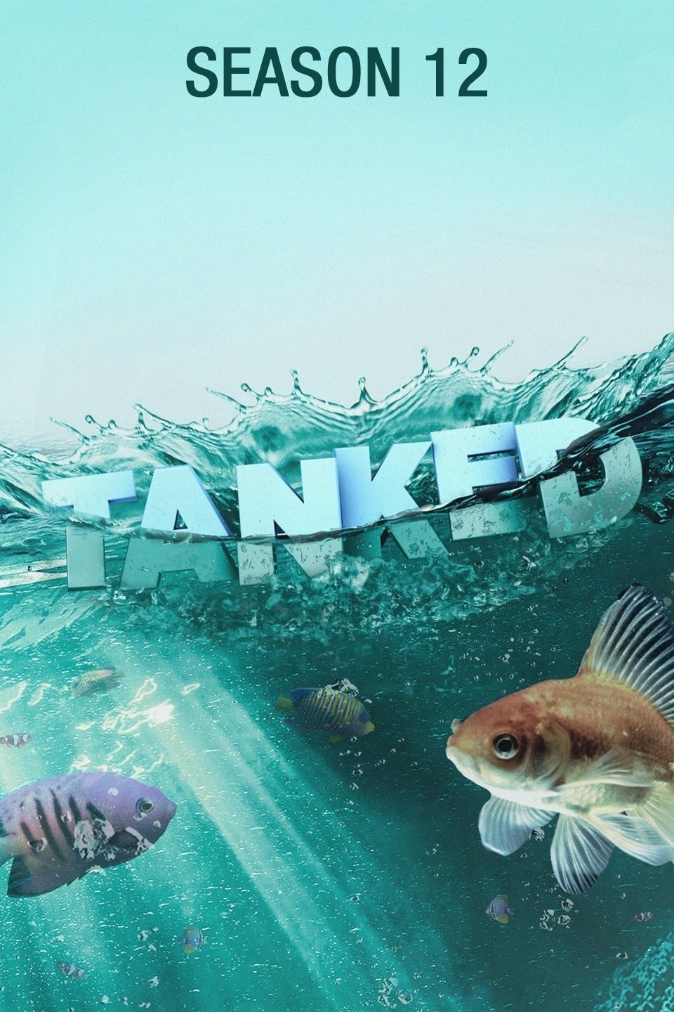 Tanked - Season 12
