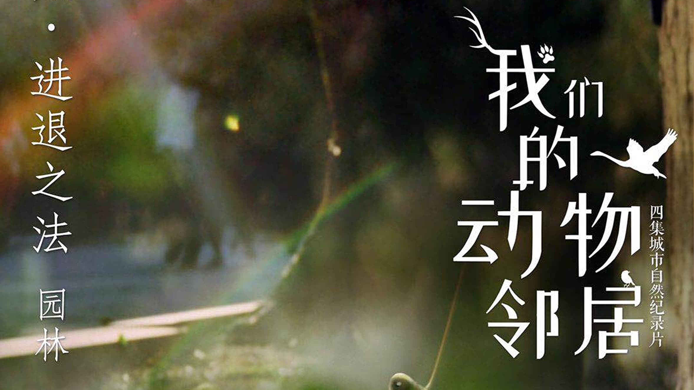 我们的动物邻居 - Épisode 2
