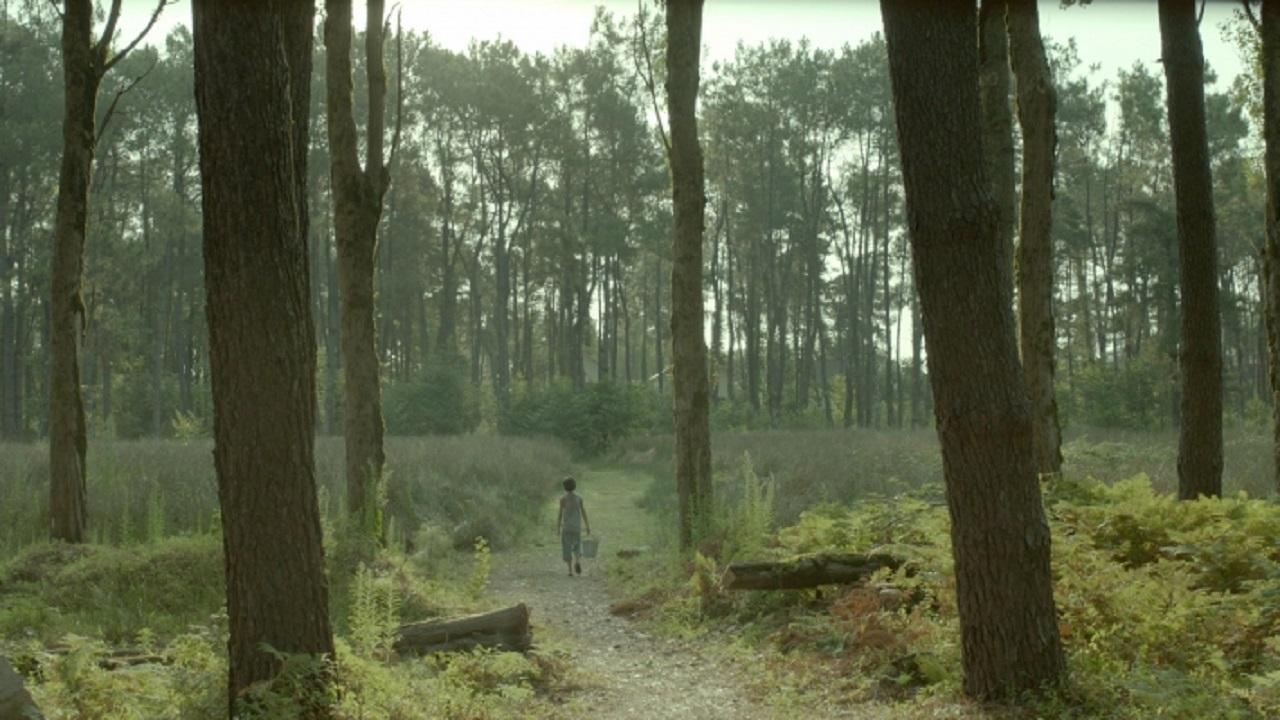 L'invité (2016)