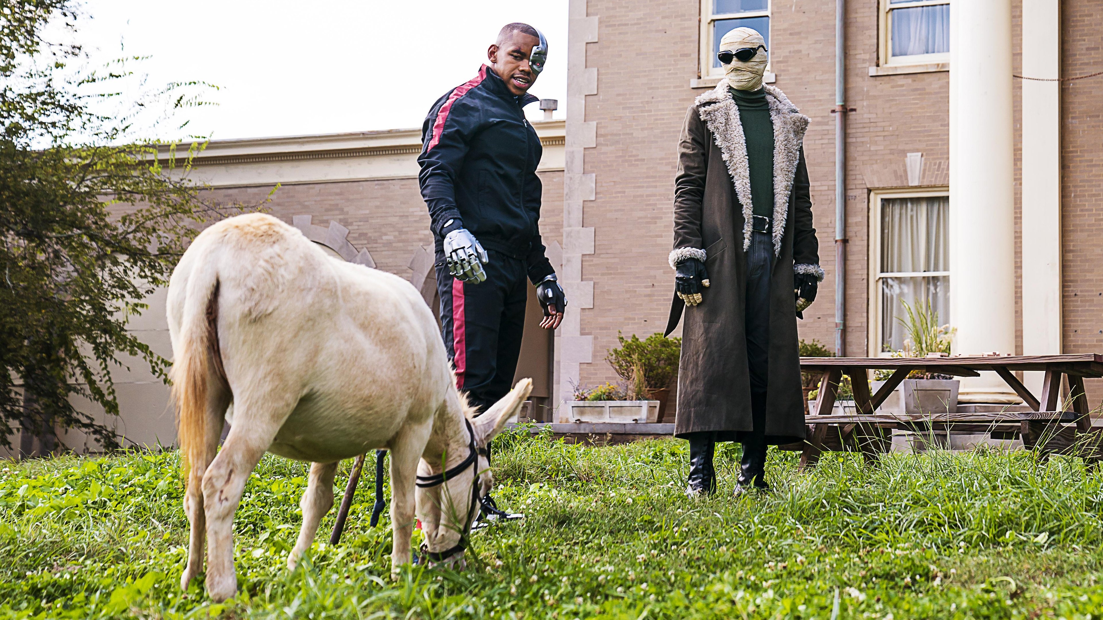 Doom Patrol Season 1 :Episode 2  Donkey Patrol