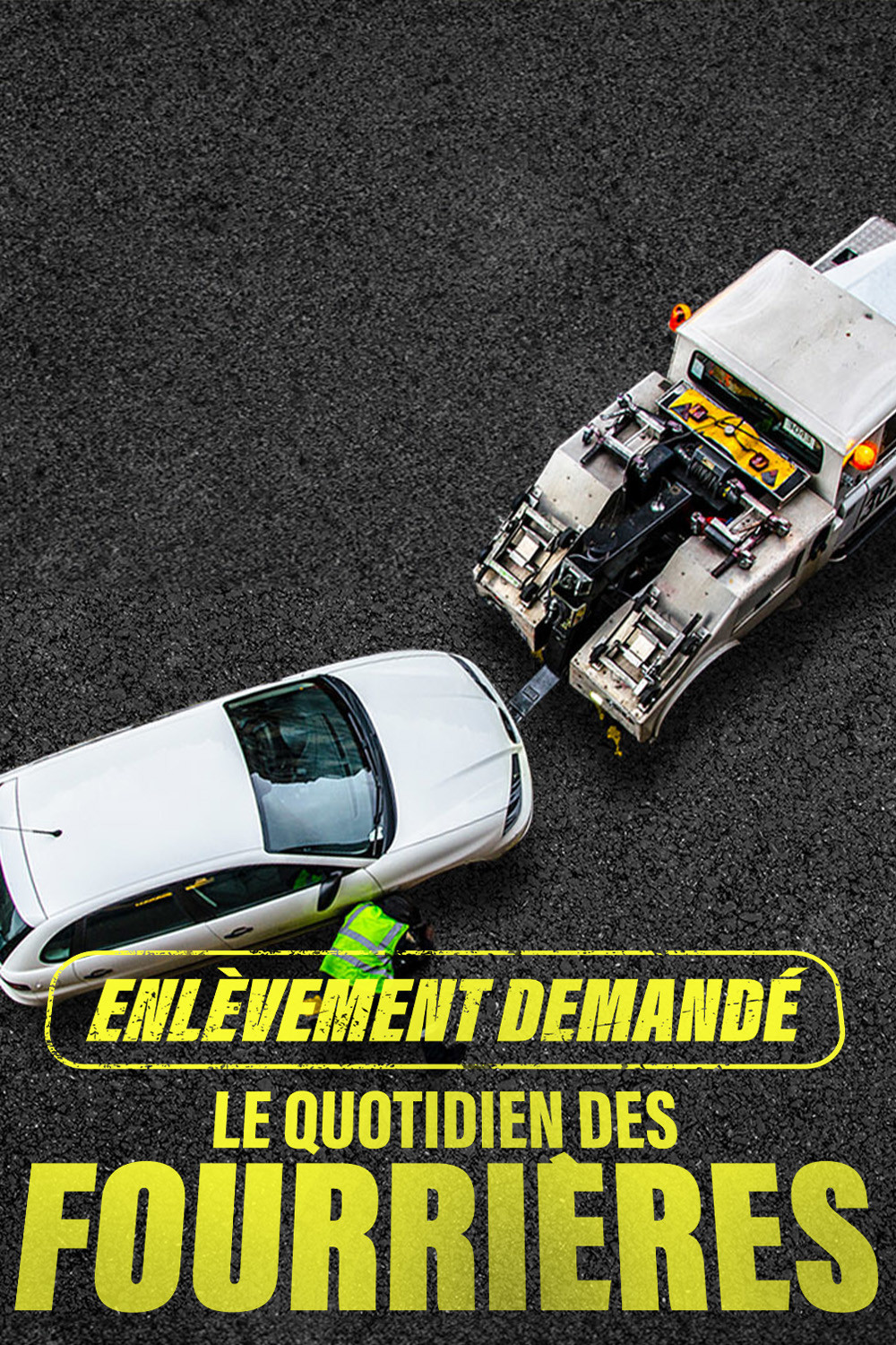 Enlèvement demandé : le quotidien des fourrières