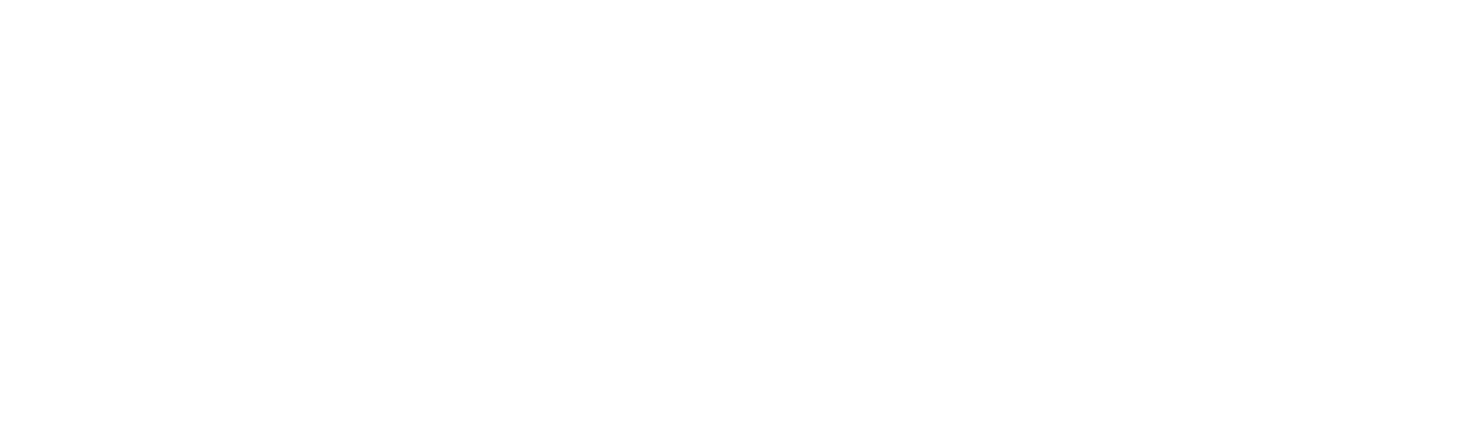 Boarders Logo