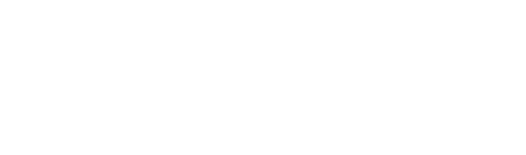 Fastest Cars in the Dirty South Logo