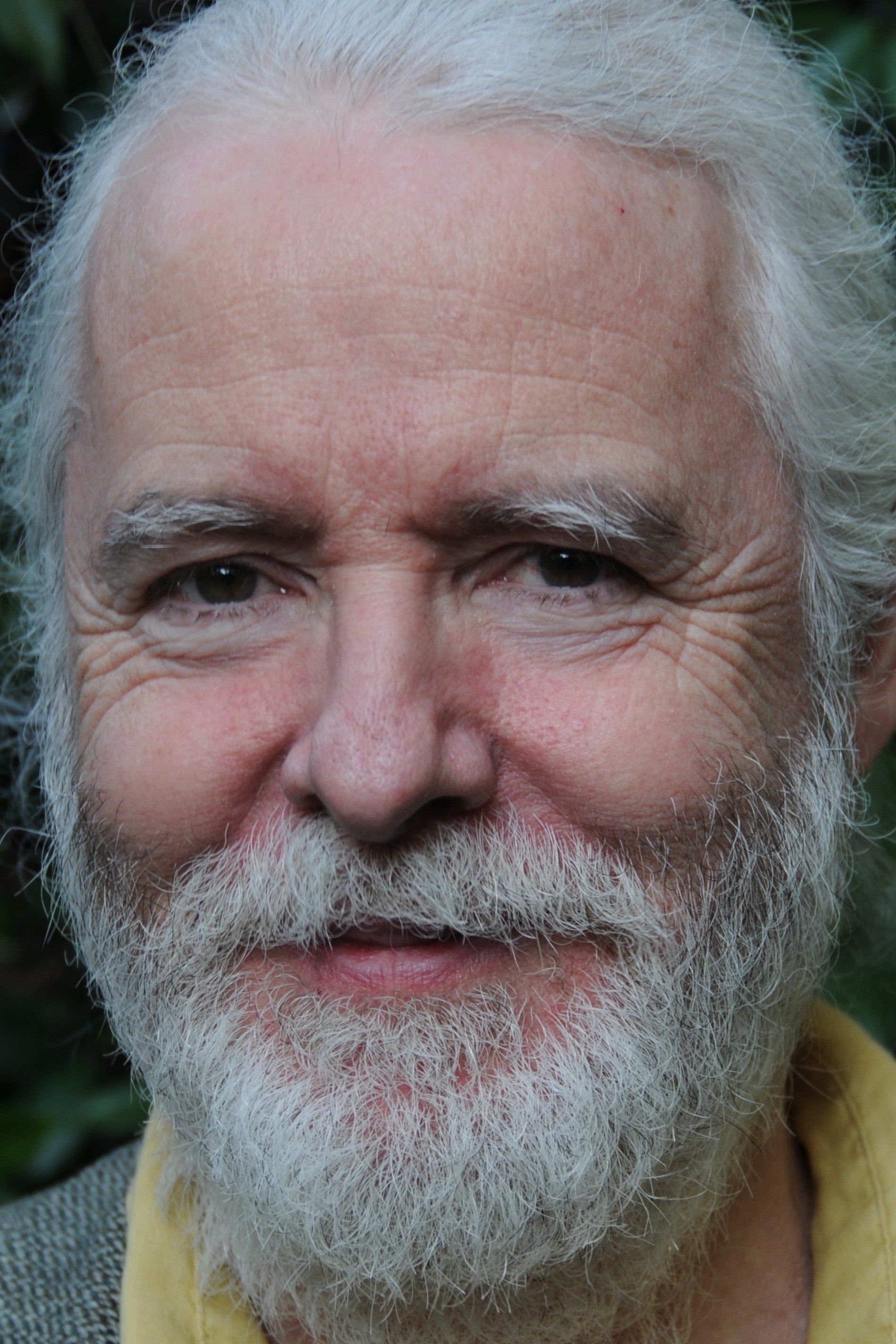 et billede af Fulvio Wetzl