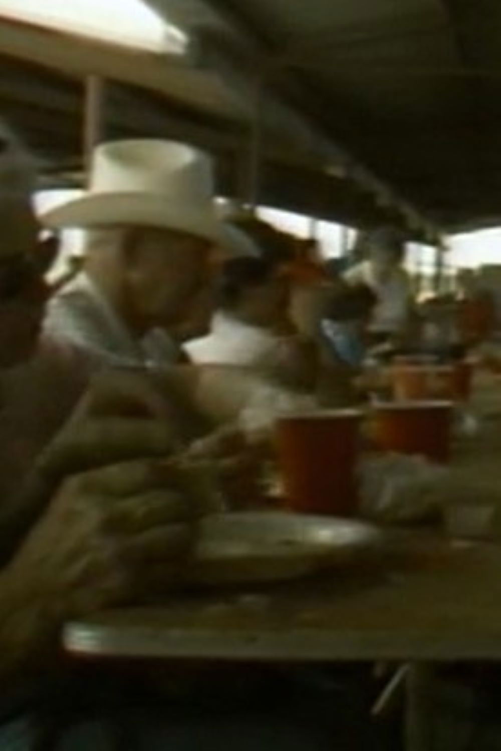 Red or Green: Hot or Mild