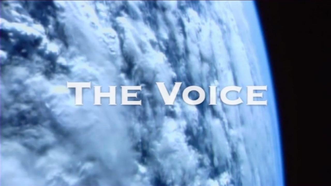 The Voice – Die Befreiung aus der Matrix ()