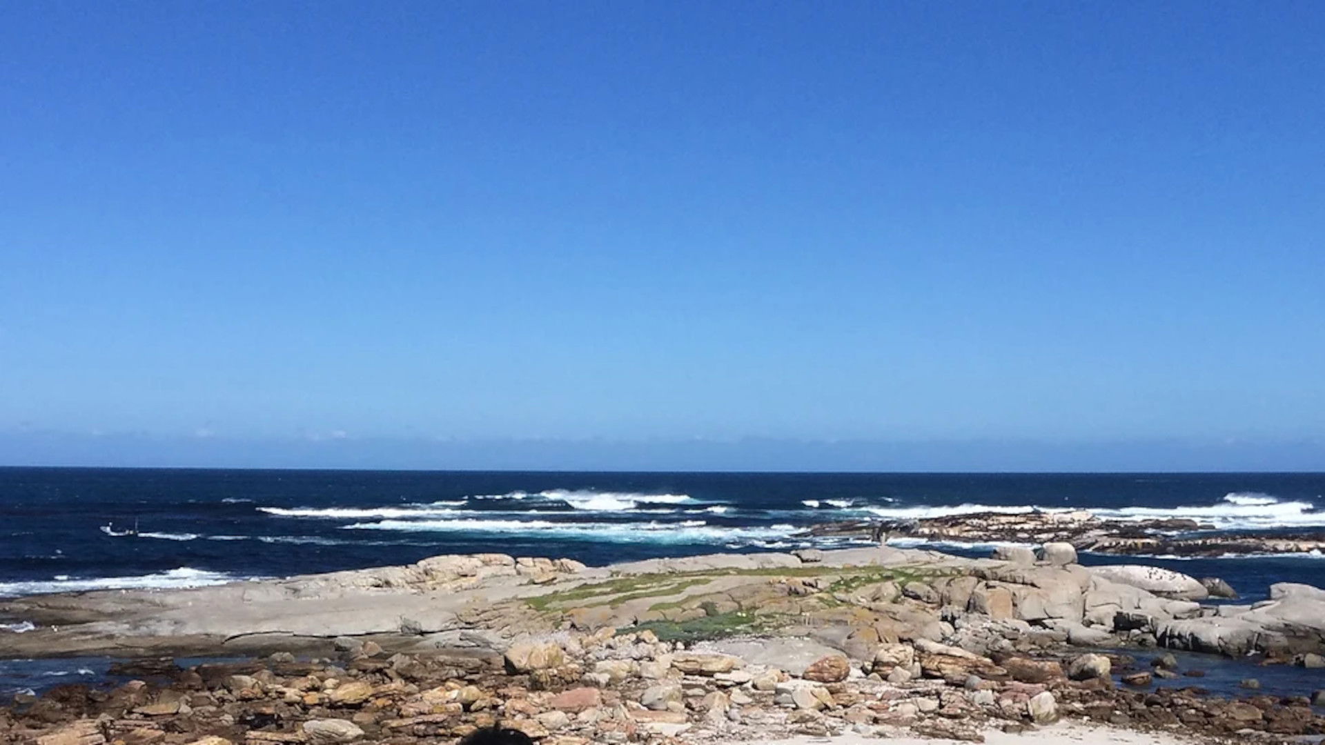 I'm Khoisan, not Coloured (2021)