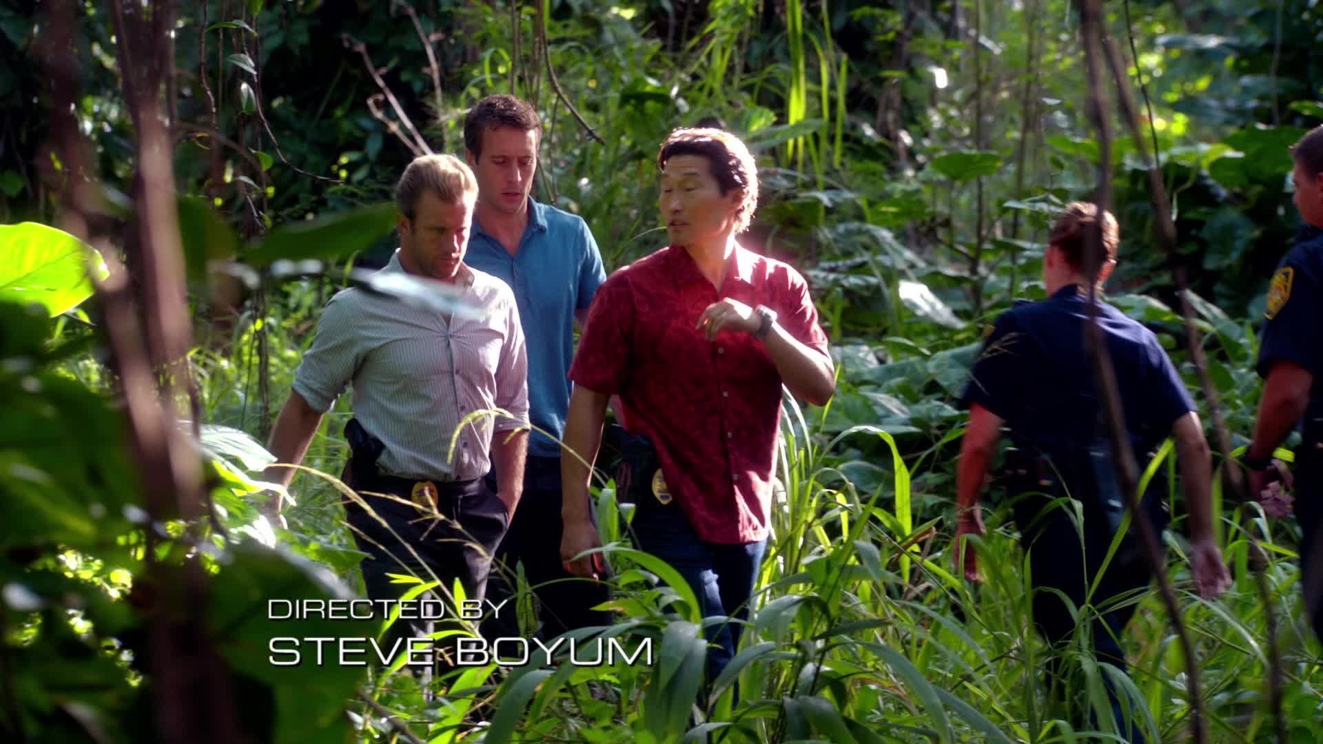 Hawaii Five-0 Season 2 :Episode 17  Kupale (Defender)